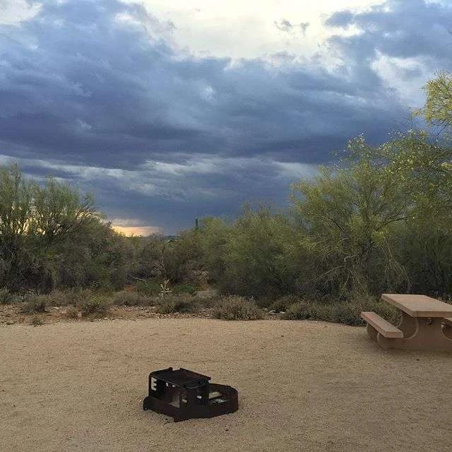 Cave Creek Regional Park - Family Campground