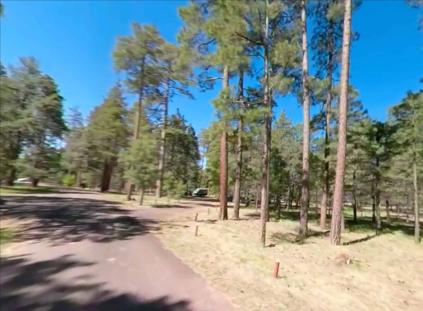Canyon Point Campground