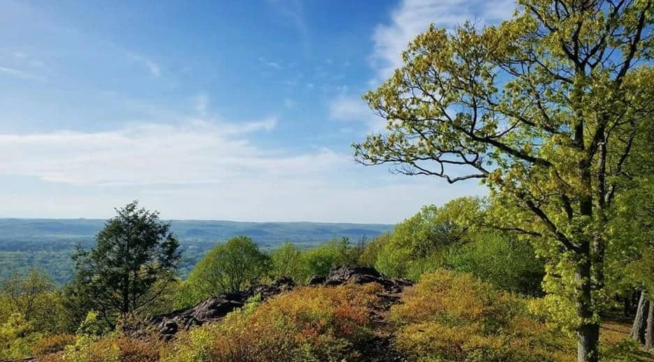 Pearl Hill State Park