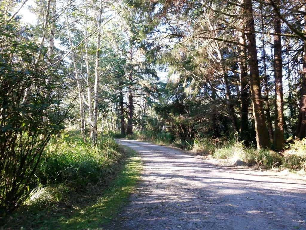 Ozette Campground