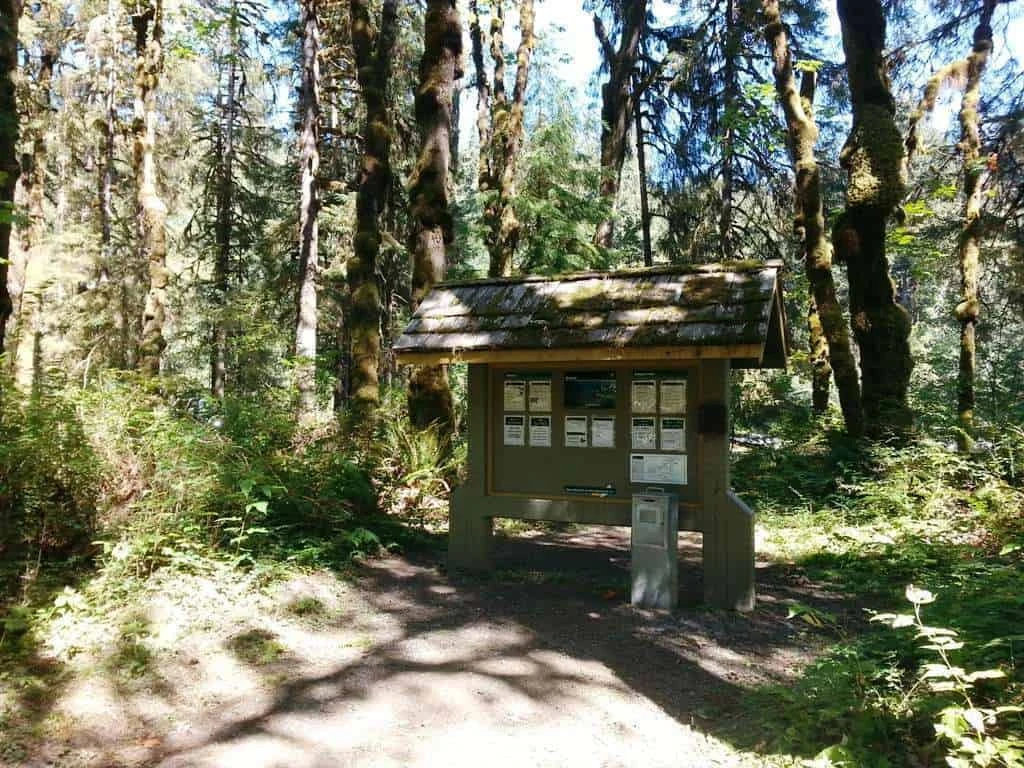 Queets Campground