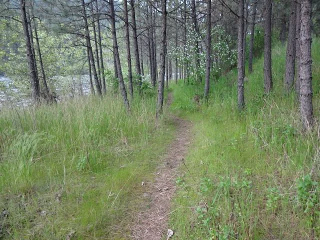 Pink House Recreation Site
