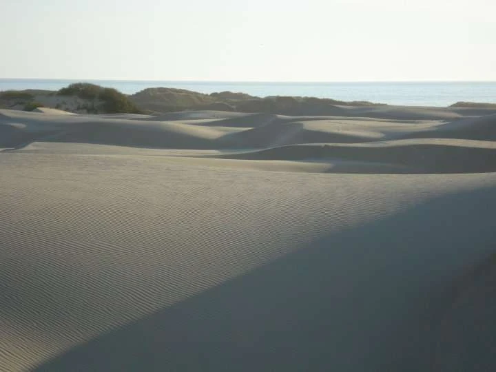 Oceano Dunes State Vehicular Recreation Area