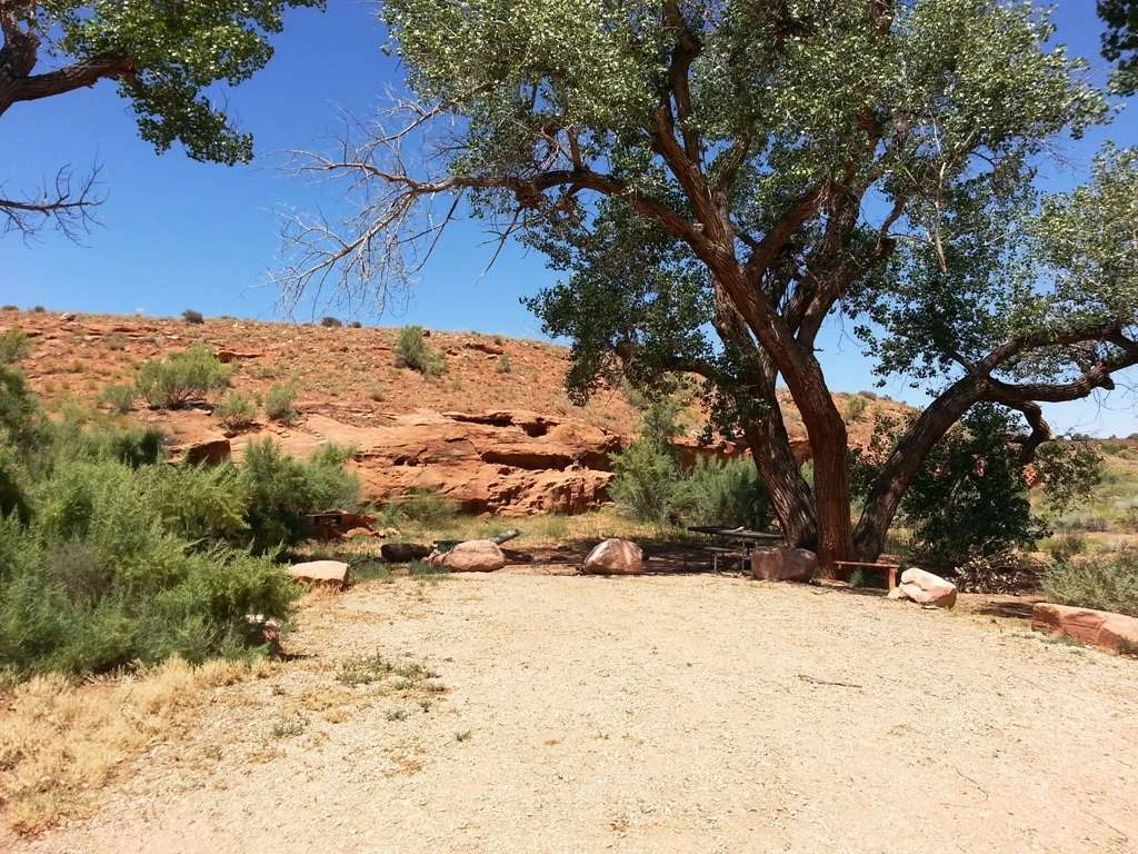 Creek Pasture Designated Camping Area