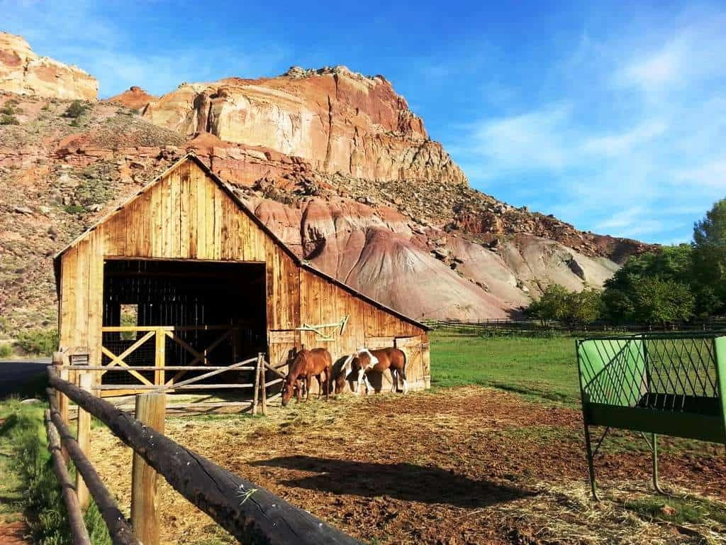 Fruita Campground