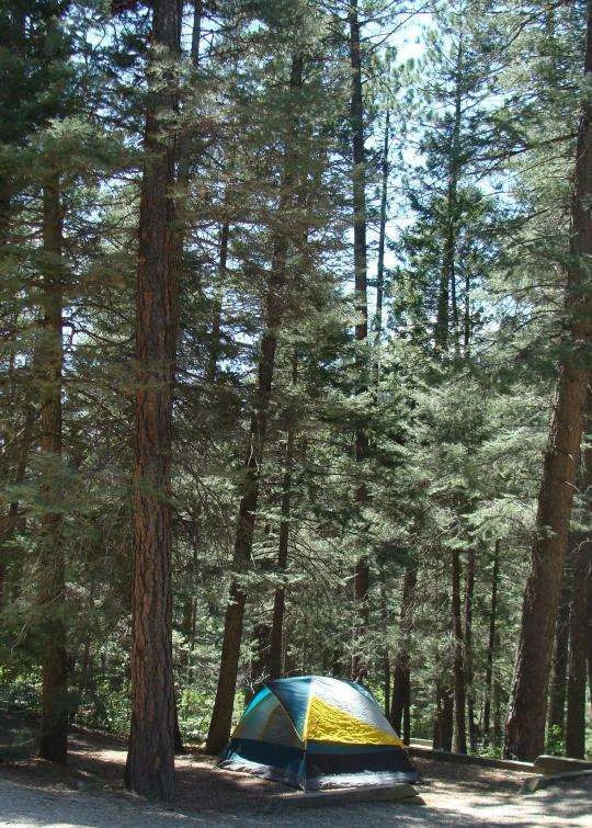 Hyde Memorial State Park