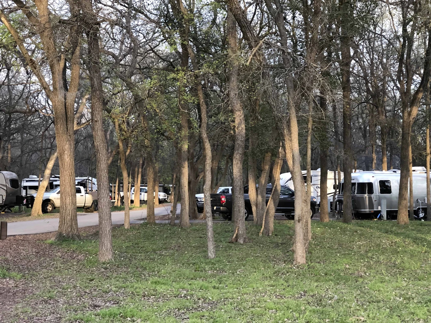 Palmetto State Park