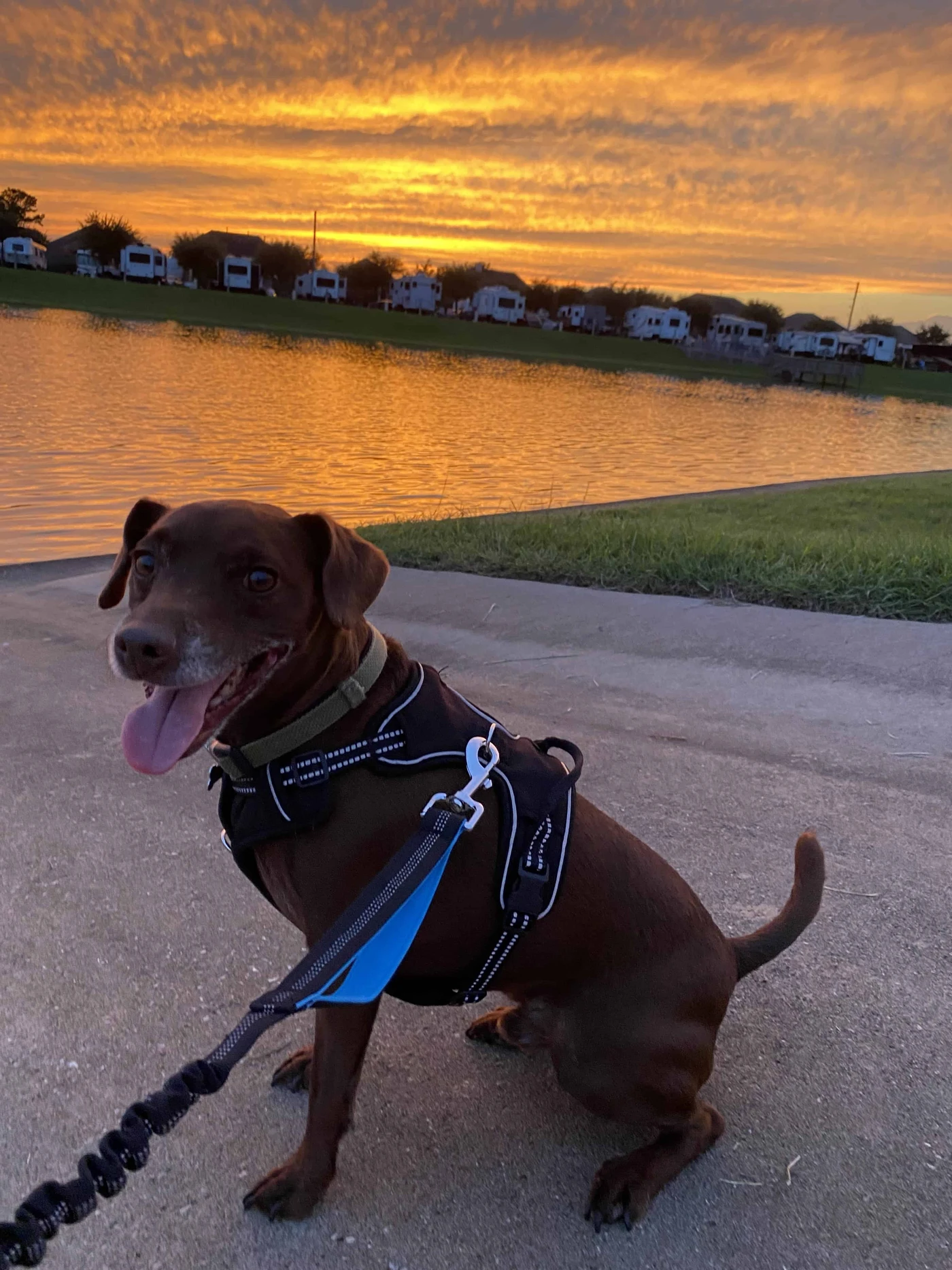 Westlake RV Resort