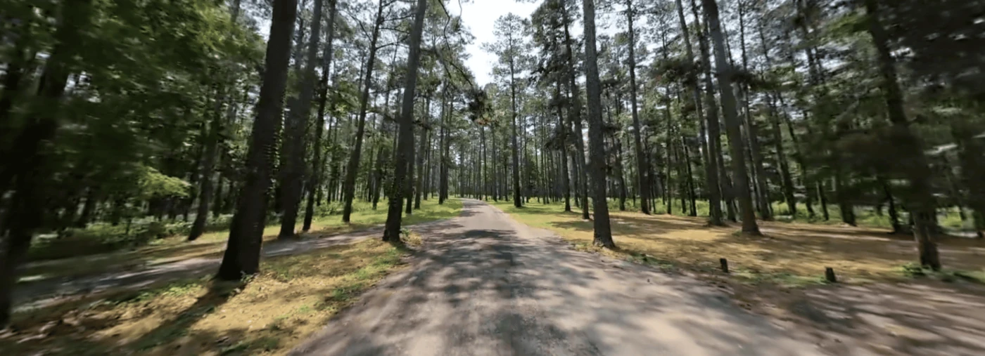Mission Tejas State Park