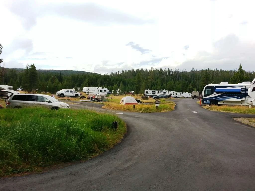 Bridge Bay Campground