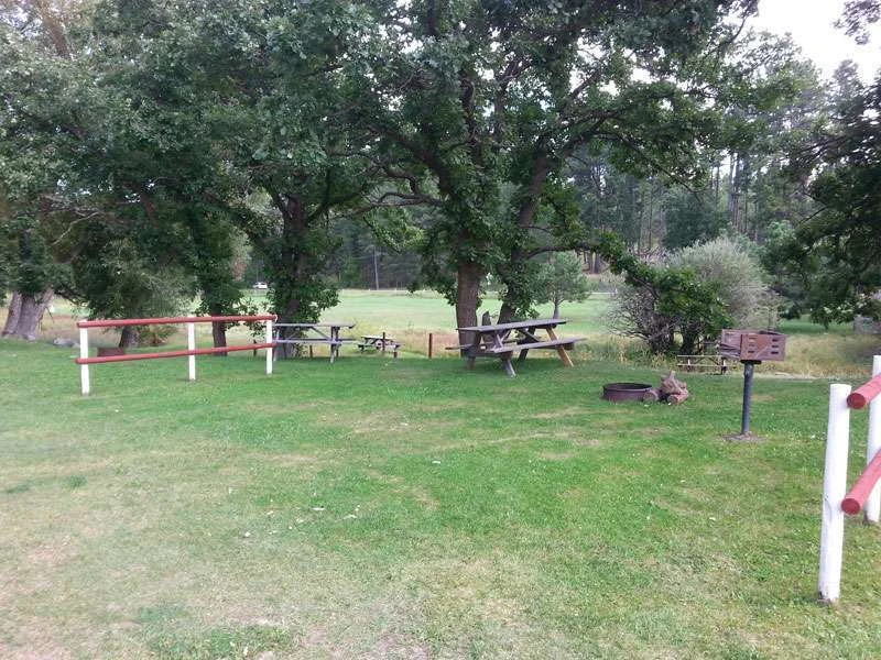 Wolf Camp