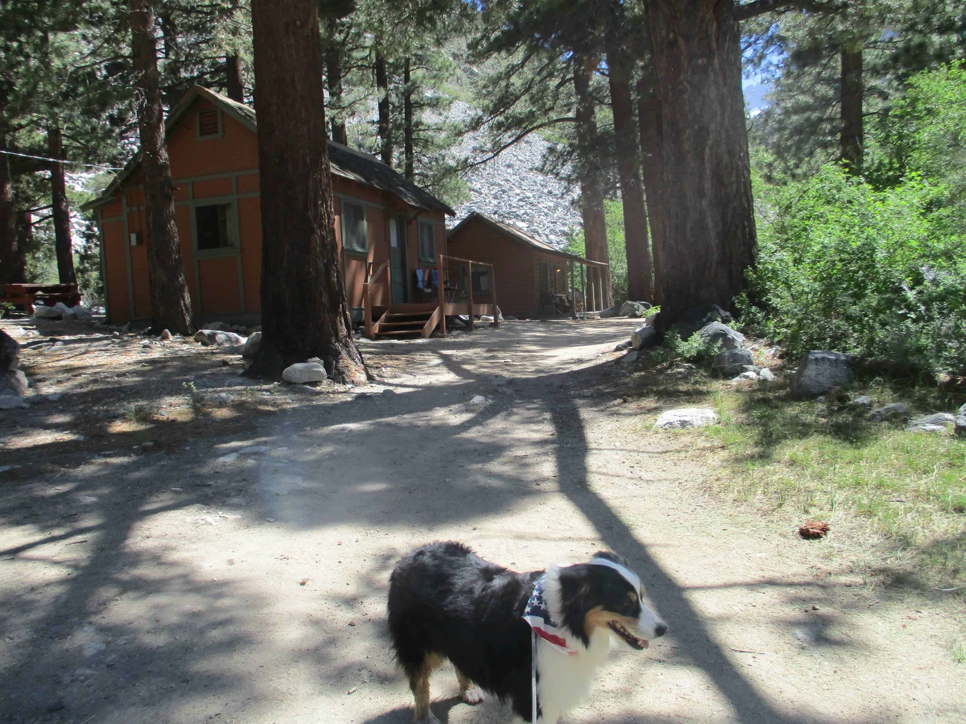 Glacier Lodge