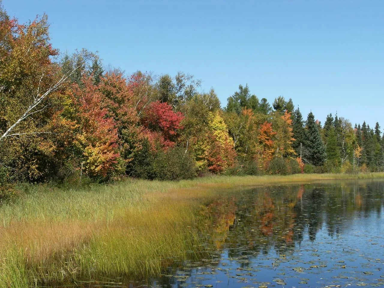 Moose Lake State Park