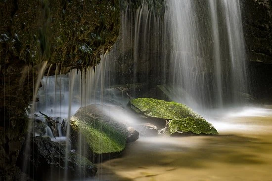 Nerstrand-Big Woods State Park