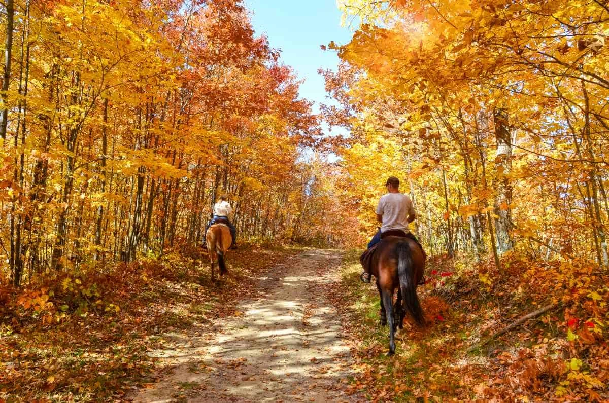Sibley State Park