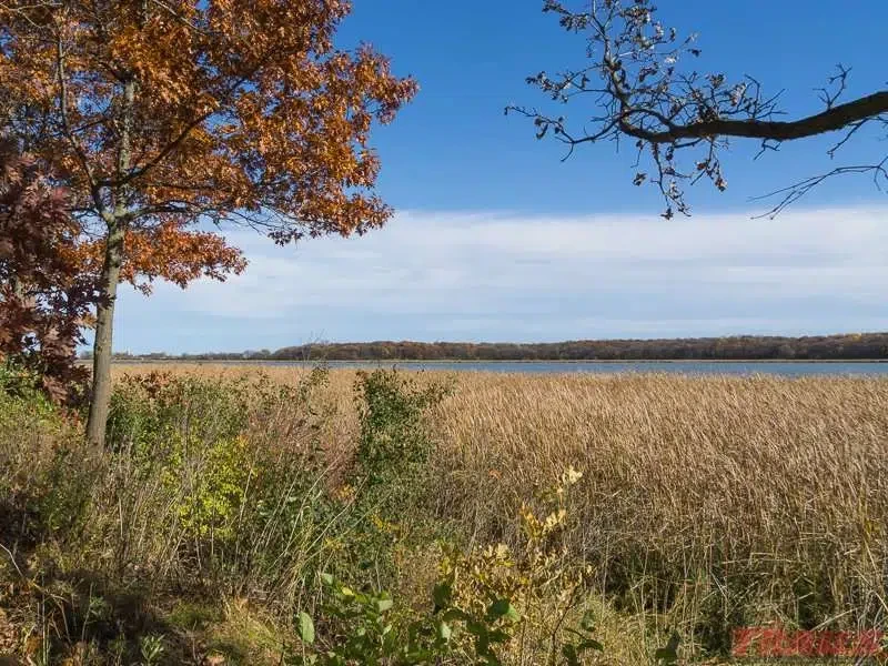 Rice Lake State Park