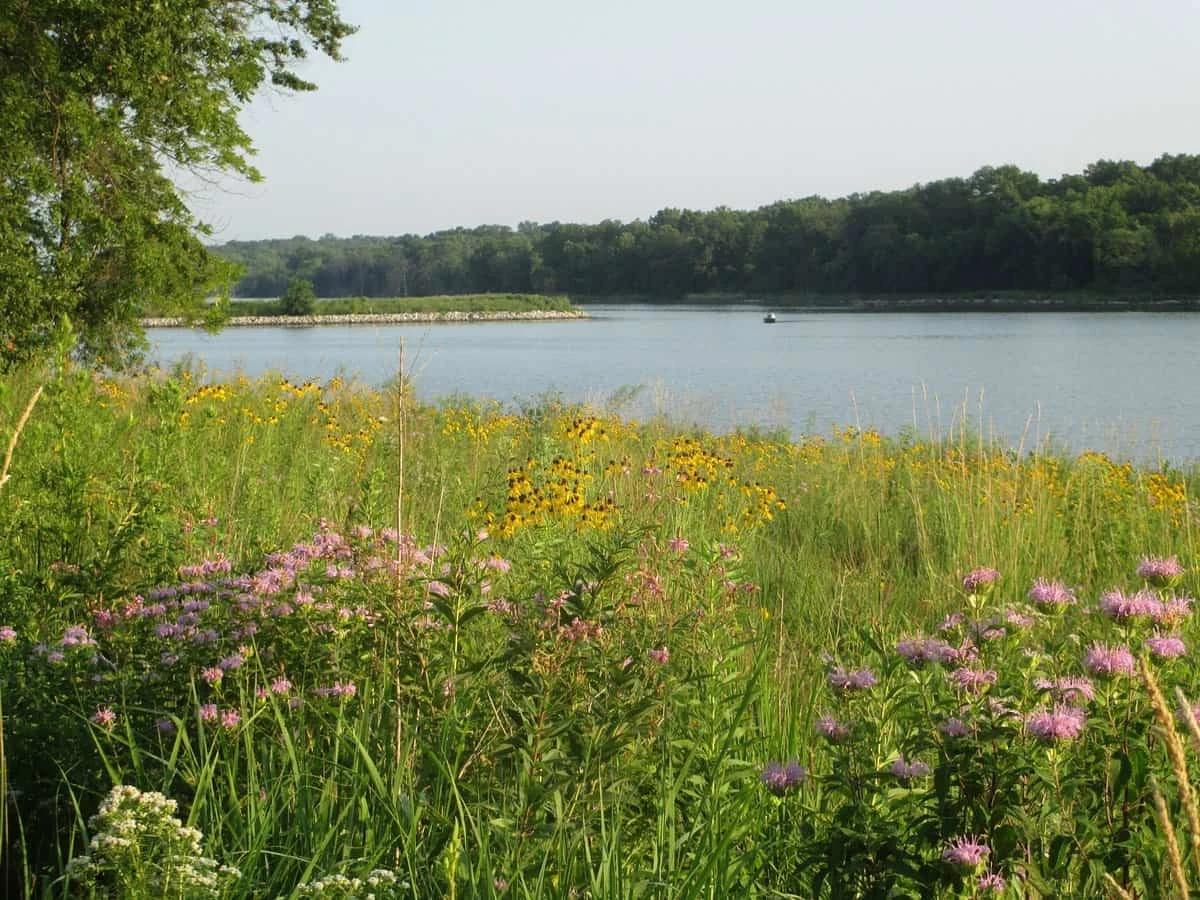 Lake Darling State Park