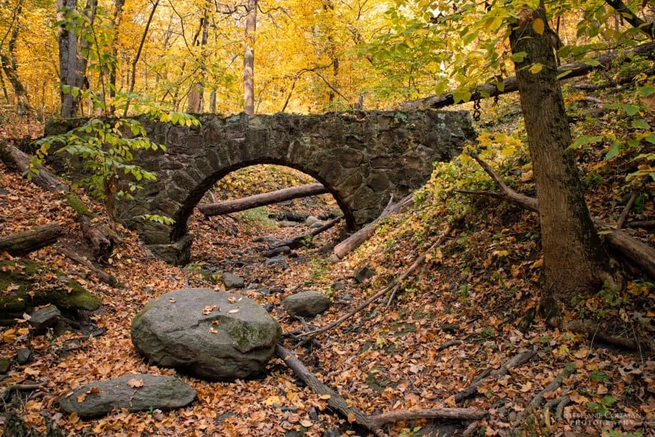 Dolliver Memorial State Park