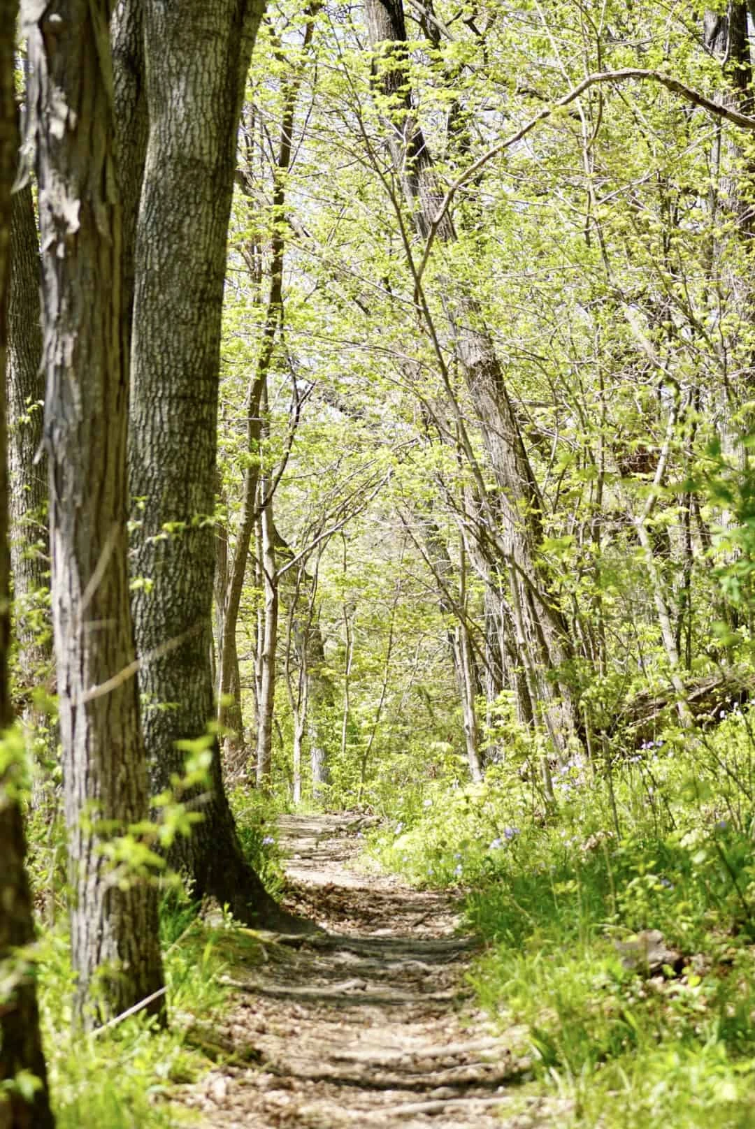 Palisades-Kepler State Park