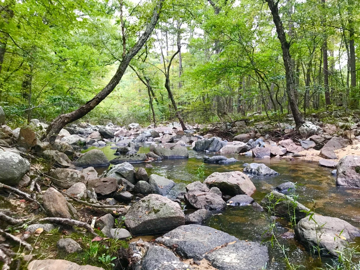 Hawn State Park