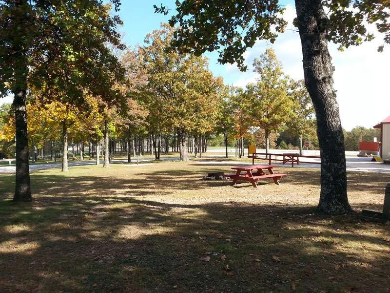 Ozarks Mountain Springs R.V. Park & Cabins