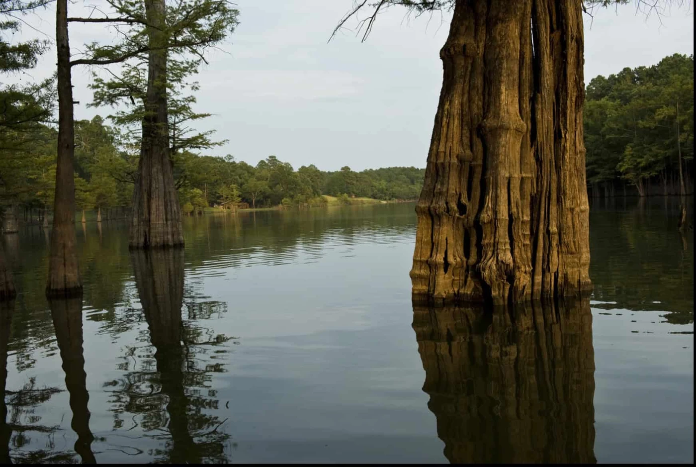 Moro Bay State Park Campground