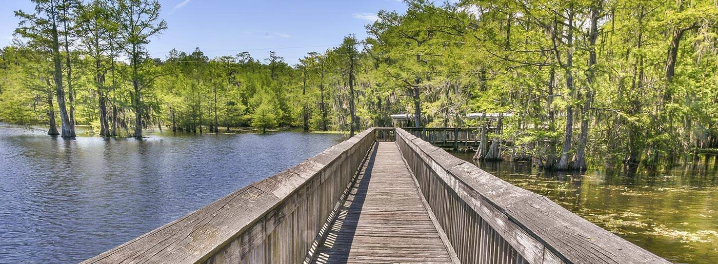 Chicot State Park - South Campground