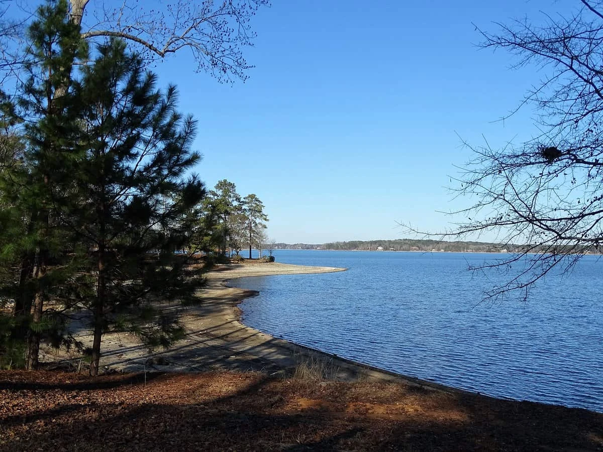 Wind Creek State Park - Section D