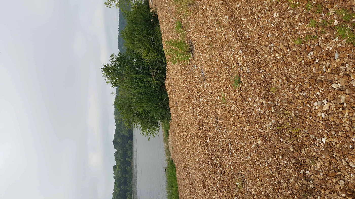 Pickwick Landing State Park