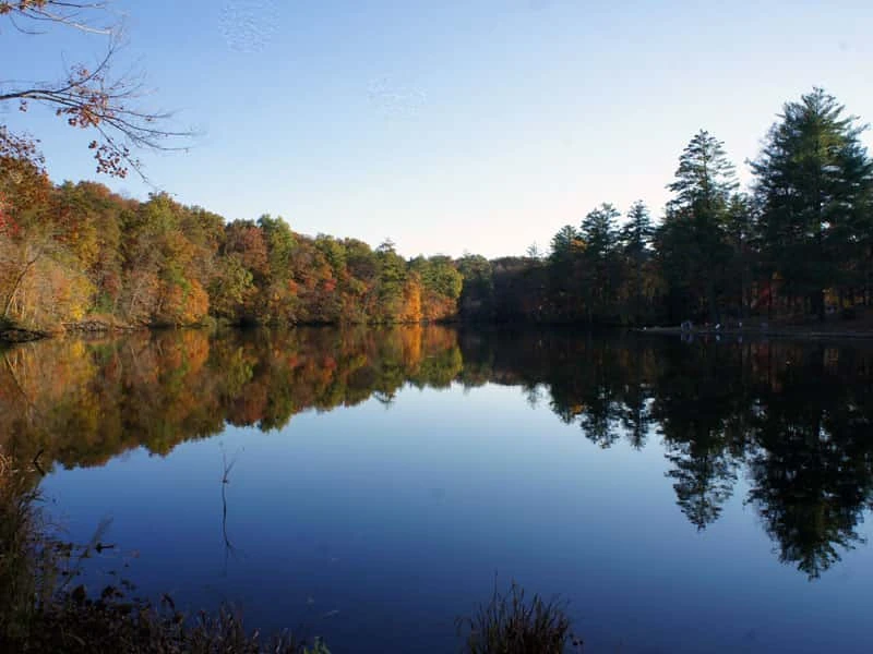 Cumberland Mountain State Park Campground