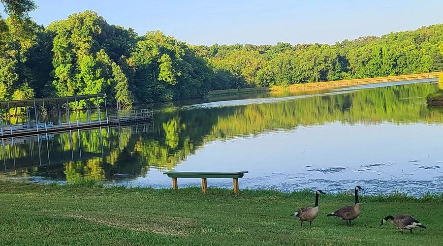 Meeman-Shelby Forest State Park