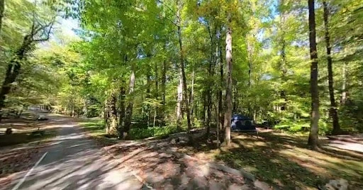 Cosby Campground