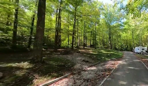 Cosby Campground