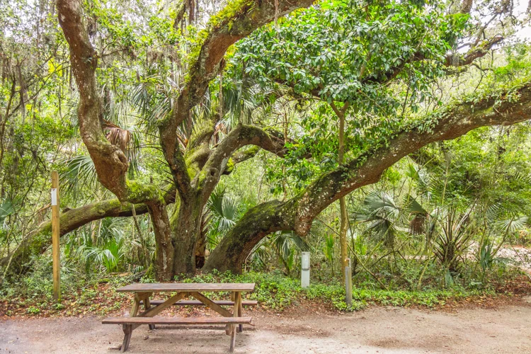 Anastasia State Park Campground