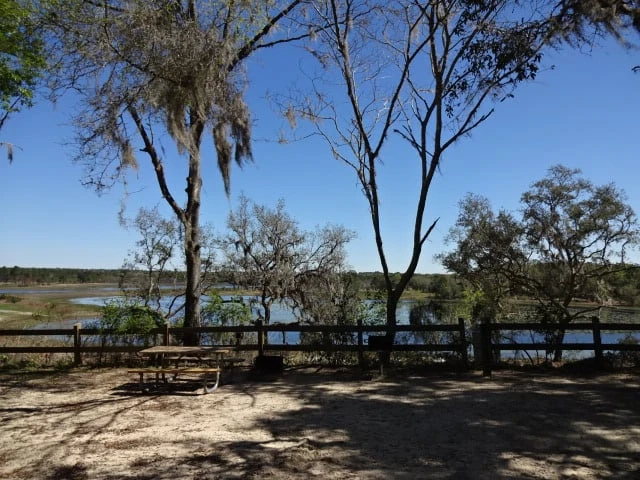 Mike Roess Gold Head Branch State Park