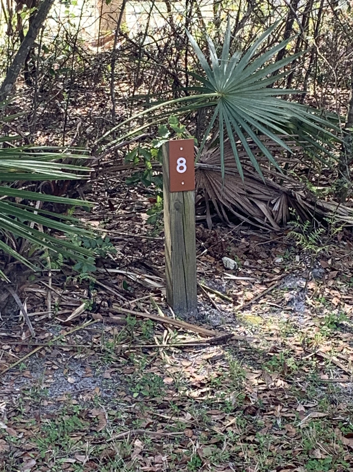 Rainbow Springs State Park