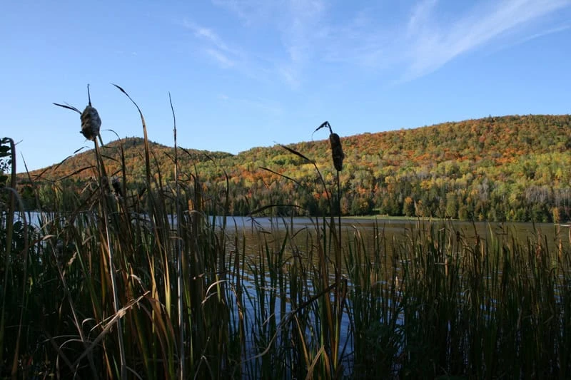 Aroostook State Park