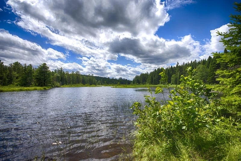 Lily Bay State Park