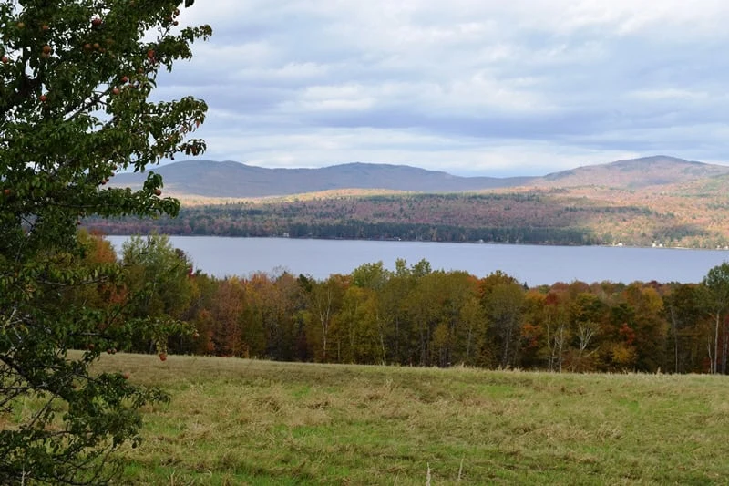 Mt. Blue State Park