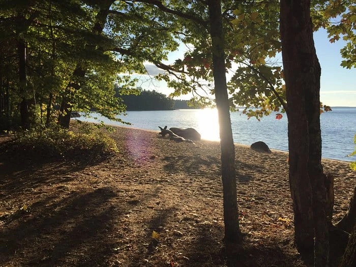 Sebago Lake State Park - Section C