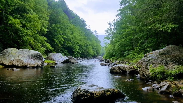 Jamaica State Park