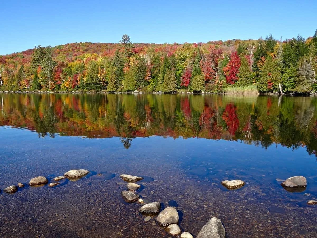 Ricker Pond State Park