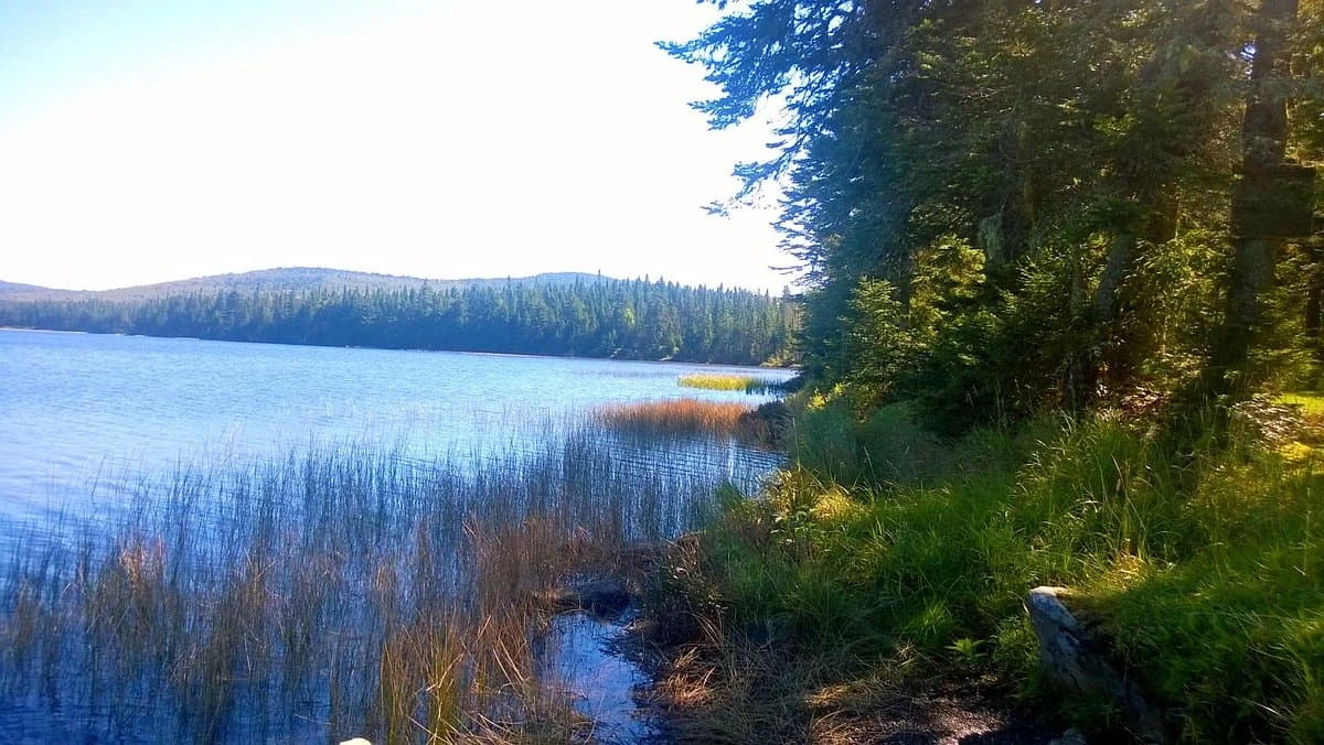 Coleman State Park