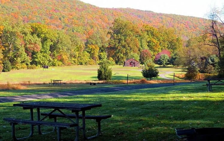Worthington State Forest - Section A