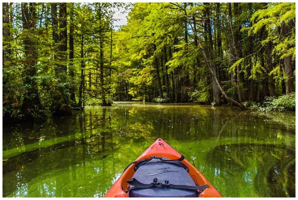 Trap Pond State Park Campground