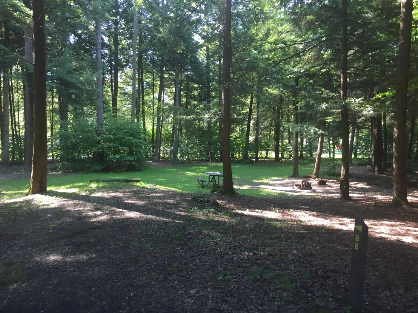 Cook Forest State Park