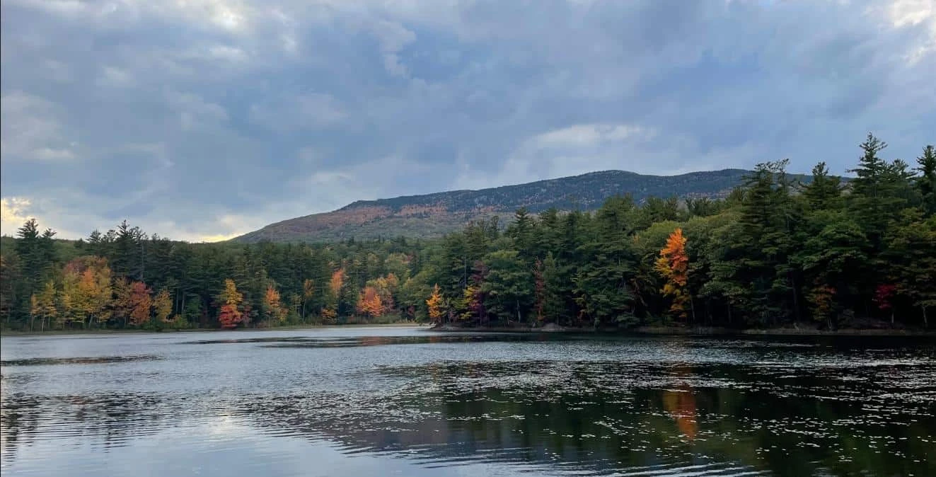 Monadnock State Park