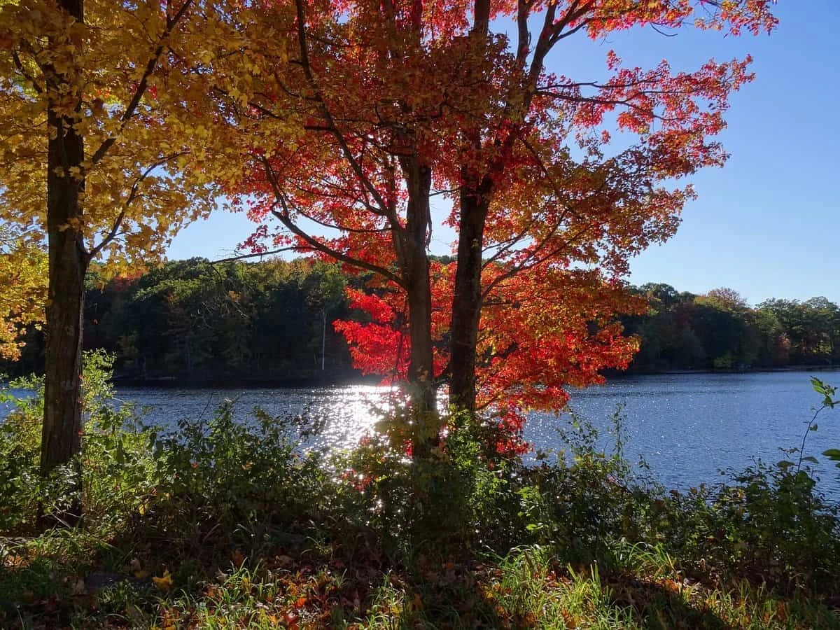 Macedonia Brook State Park - Section B