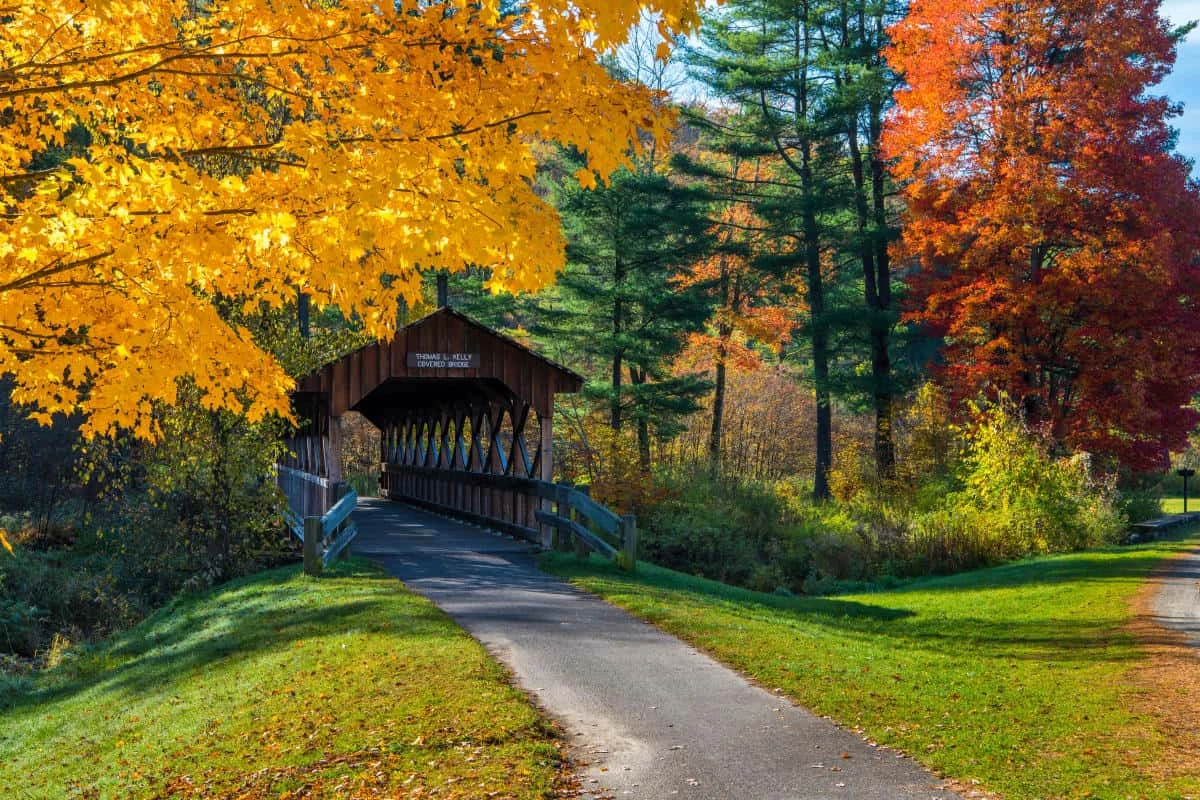 Allegany State Park - Red House Area