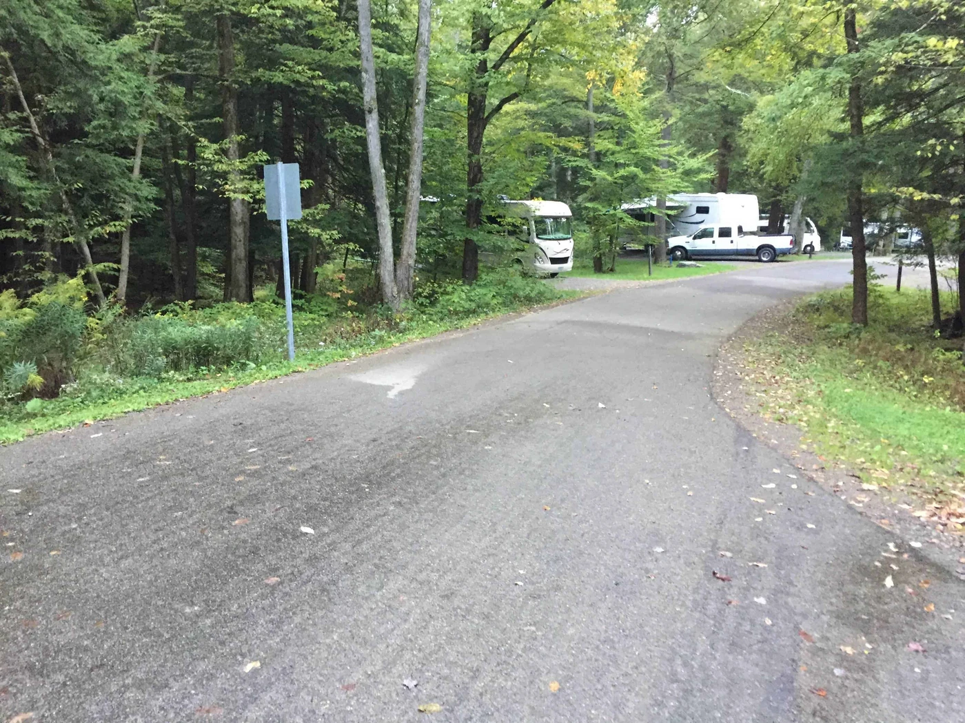 Allegany State Park - Red House Area